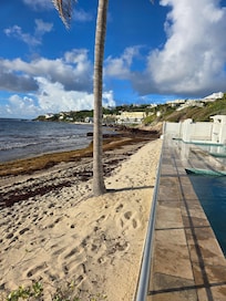 The sargassum could not be removed because of 3 sea turtle nnests