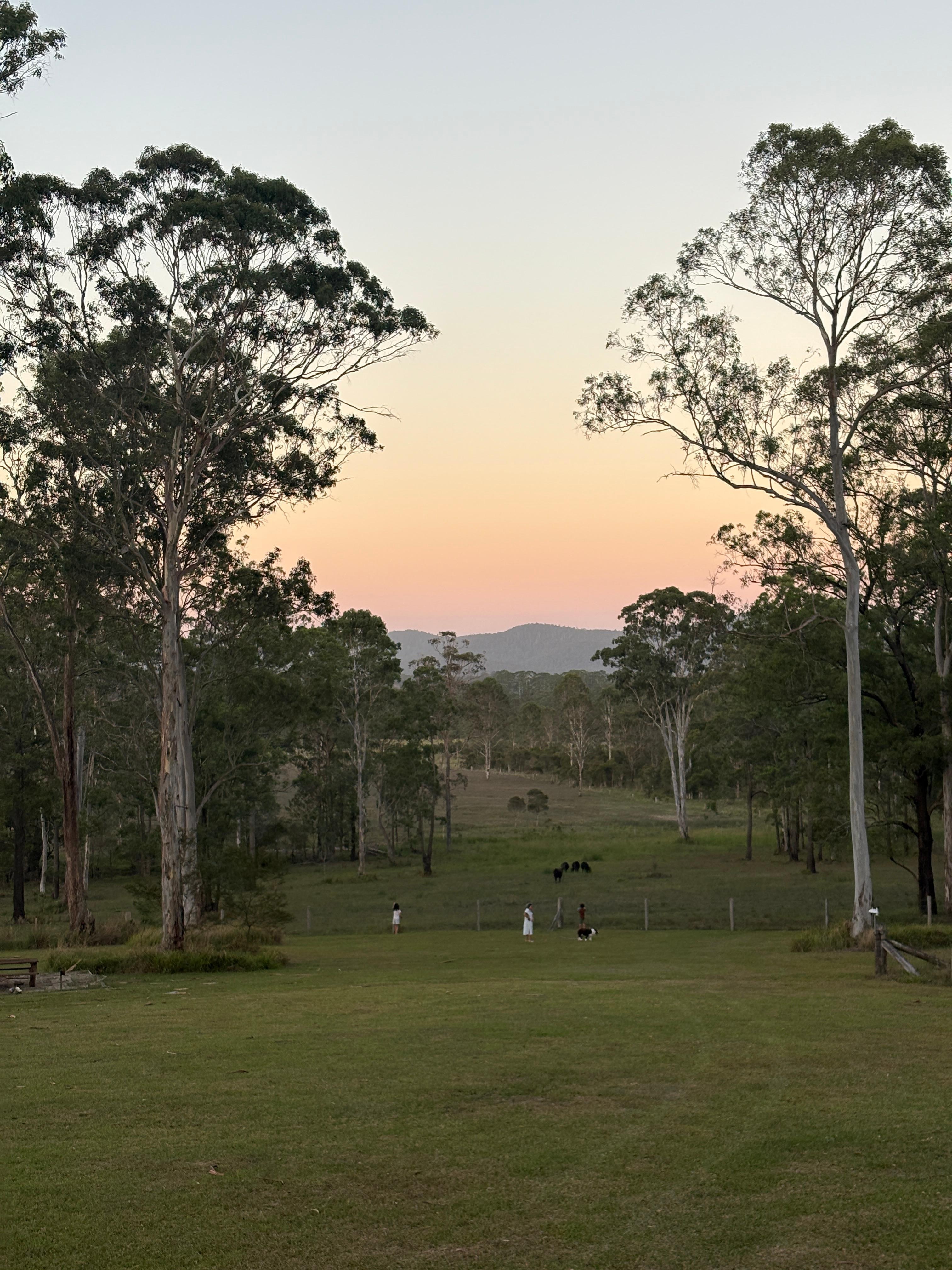 The beautiful view from the back deck.