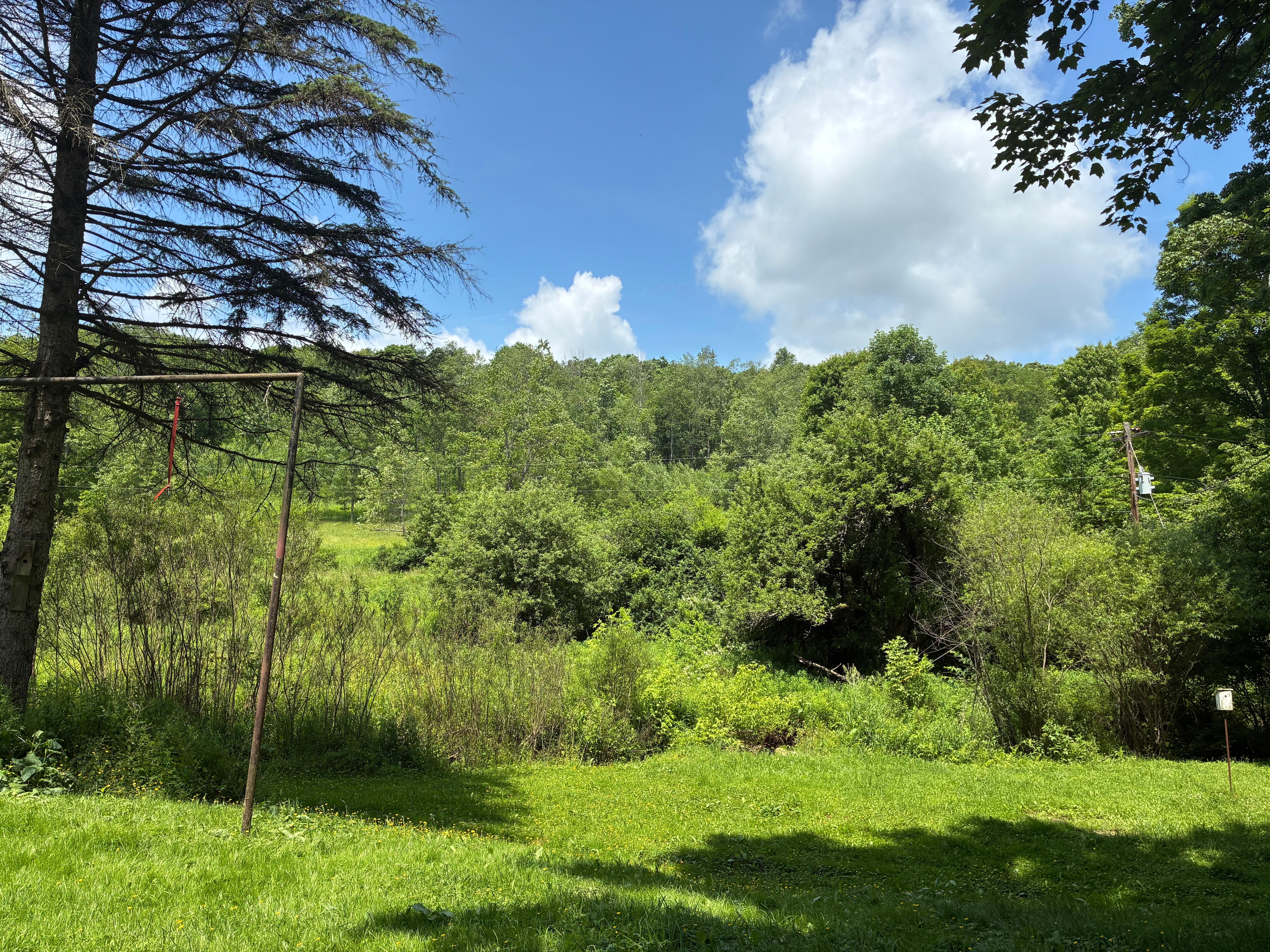 View from front porch when we finally got a little sun.