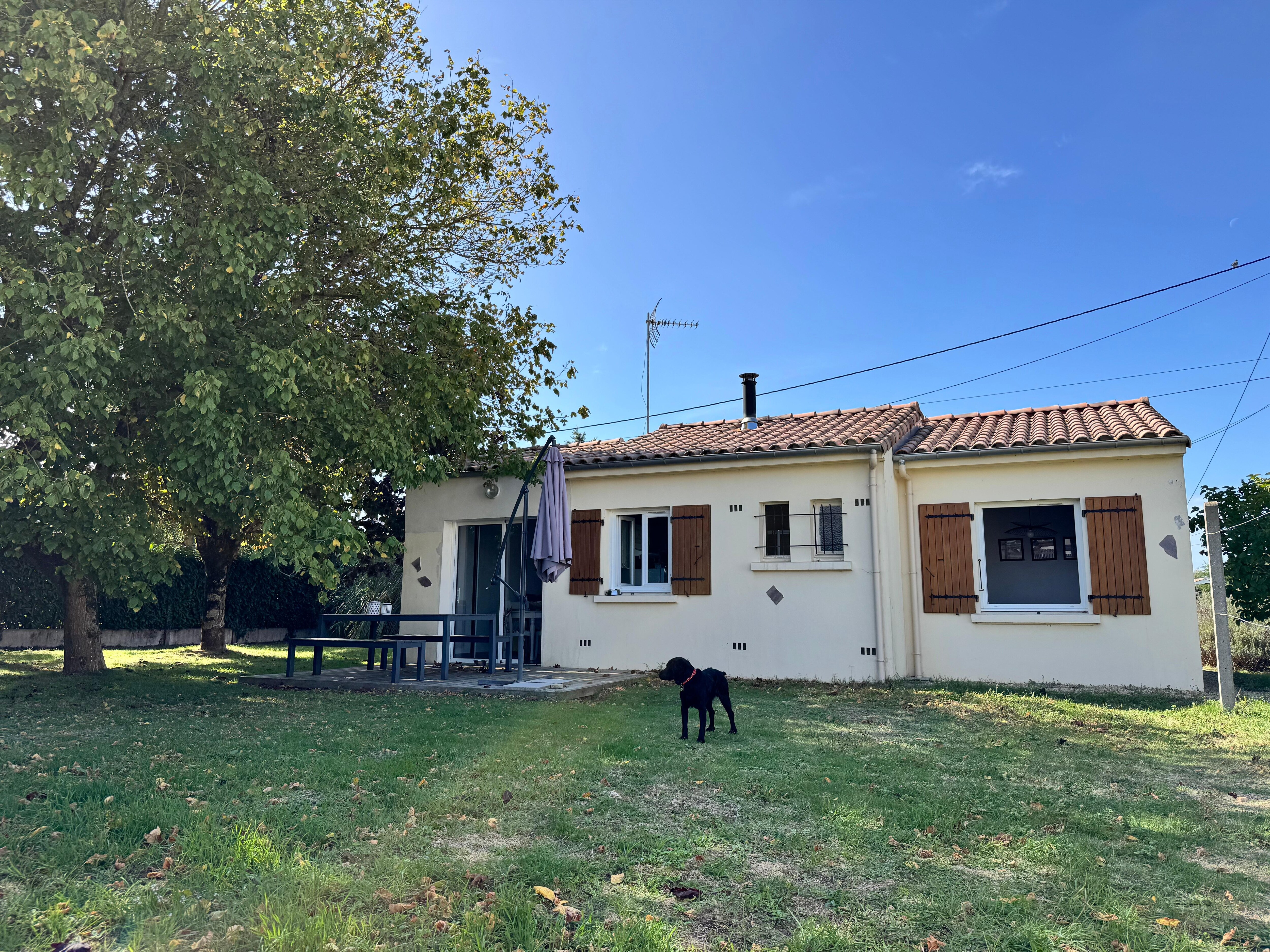 Totally secure garden surrounding house.