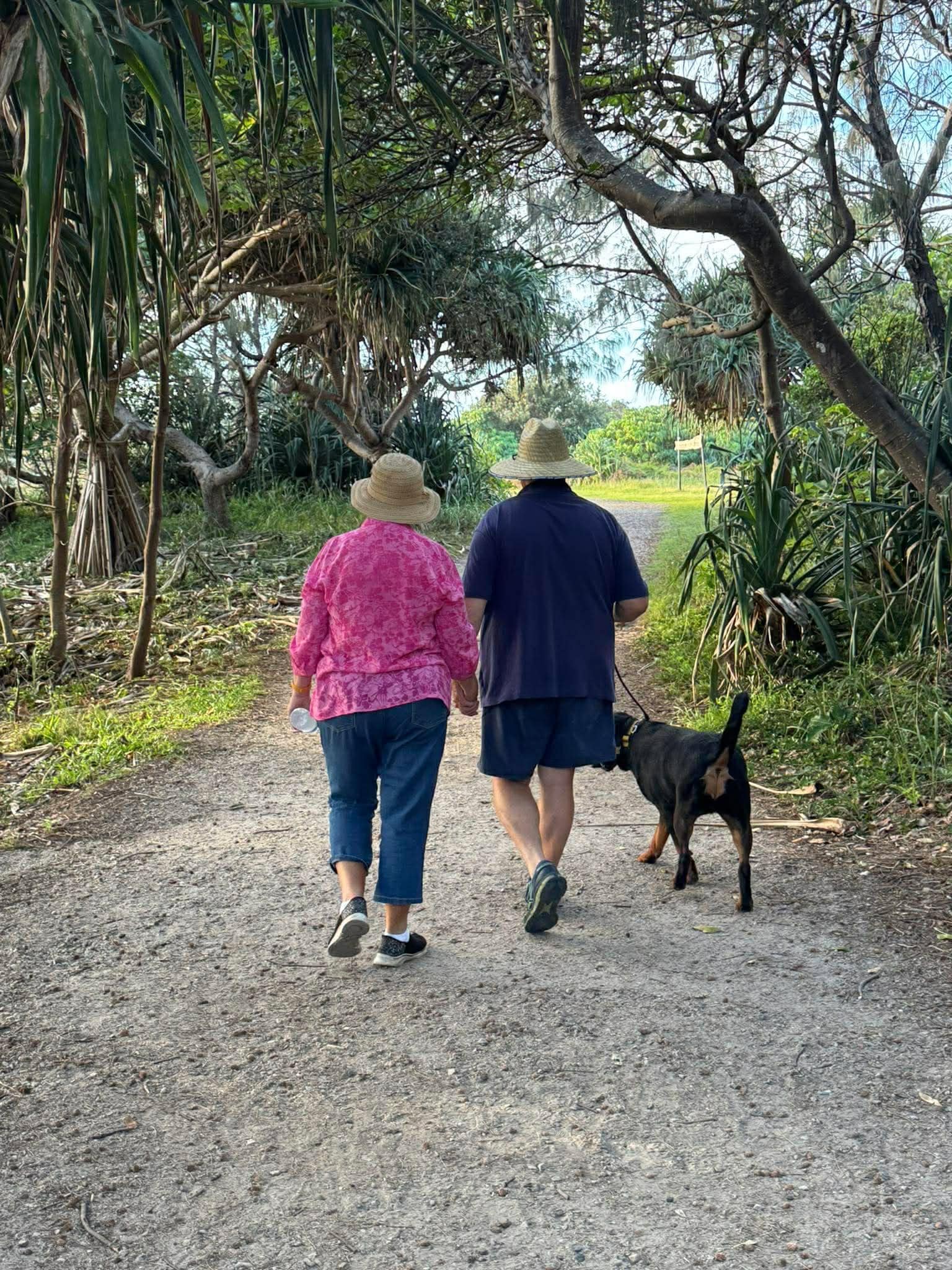 Start of the point lookout gorge walk.