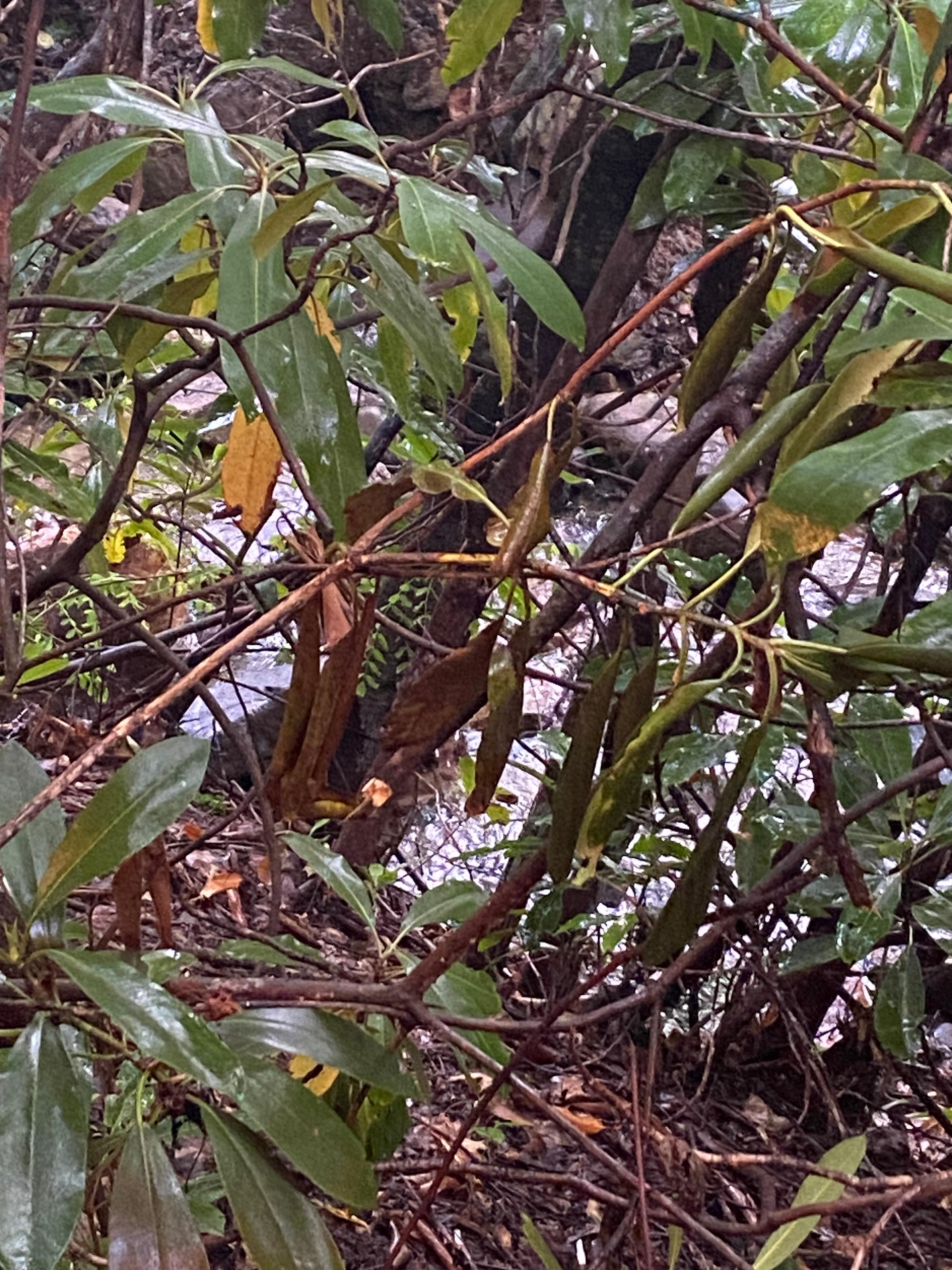 View from front porch.
