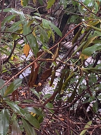 View from front porch.