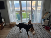 Even the doggos appreciated the view (when not romping in the spacious grassy lawn beyond)