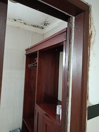Mould on roof and doors