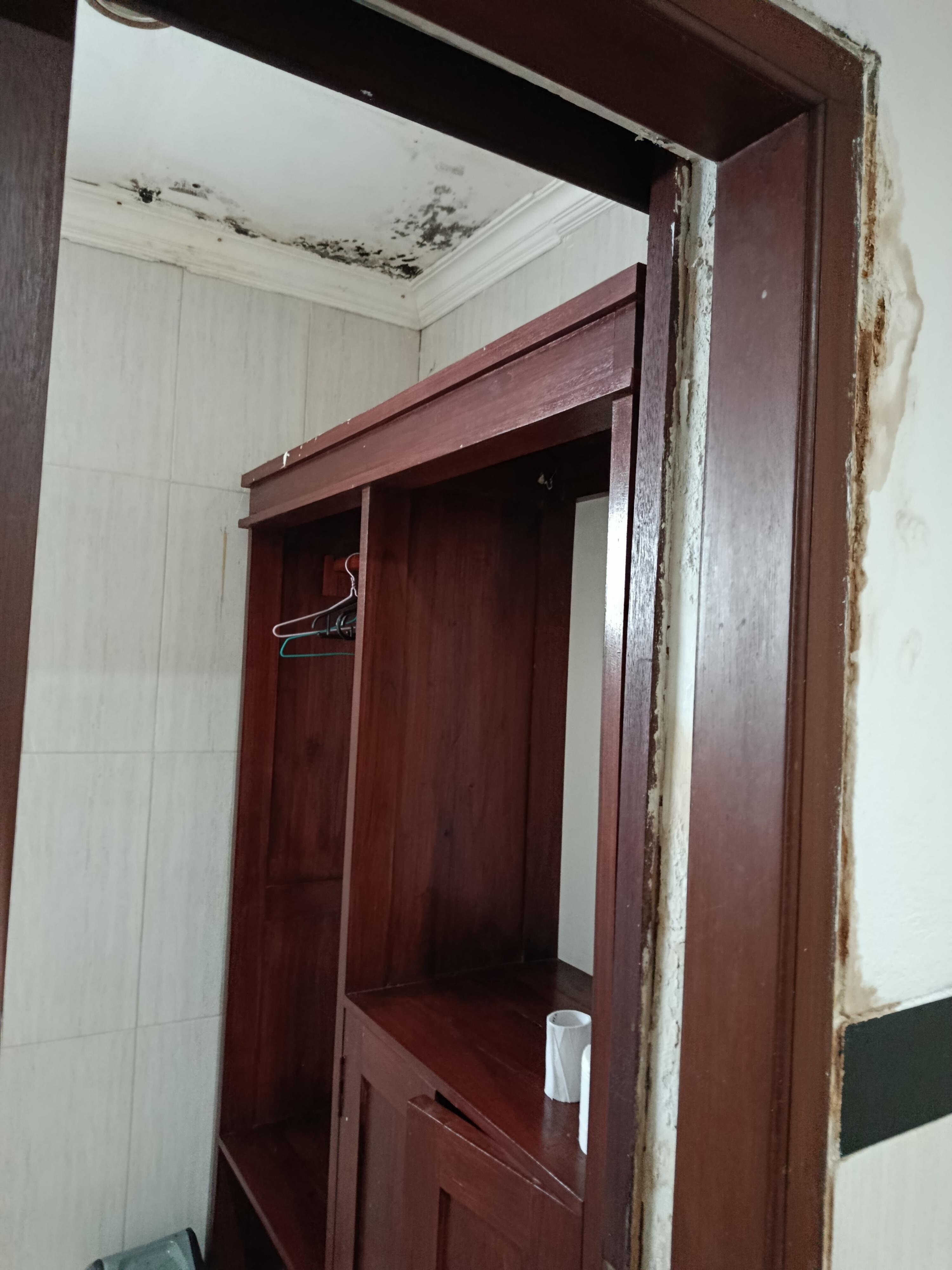 Mould on roof and doors