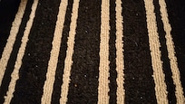 Dust on floor