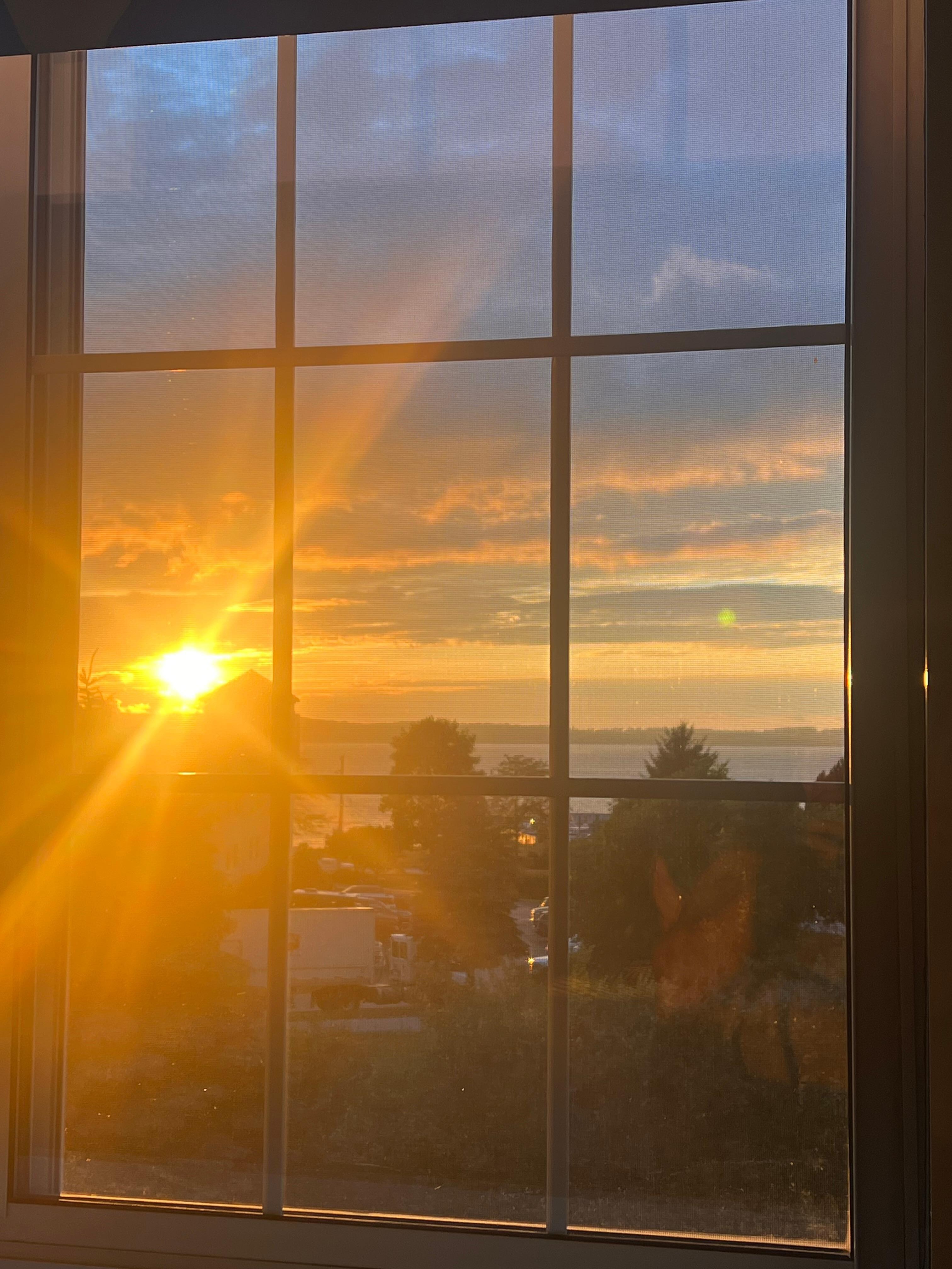 Sunset across the bay. 