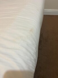 Marks on bedding