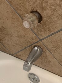 Another throughway for bugs