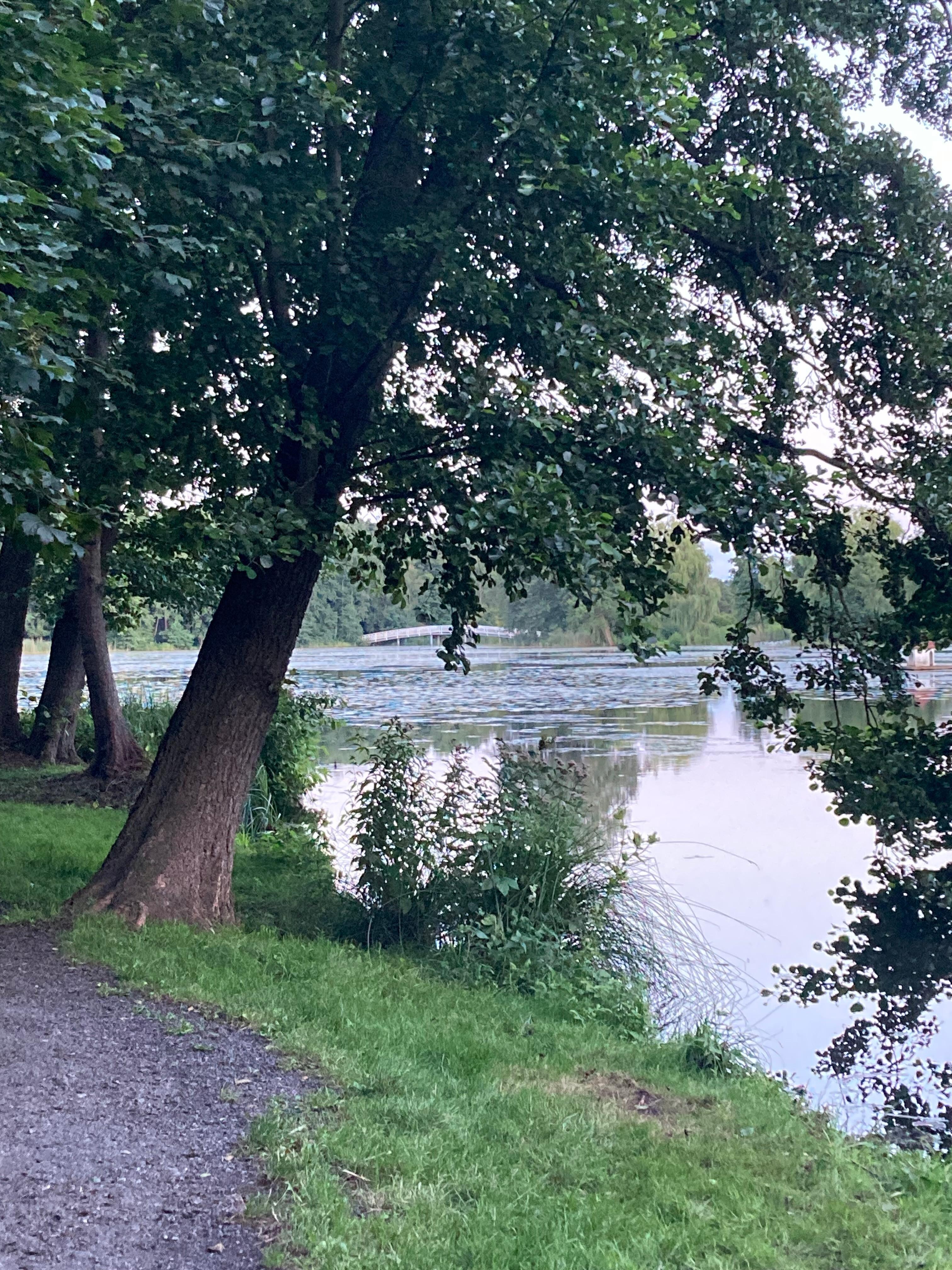 En fin naturpark nära hotellet nere i byn. 