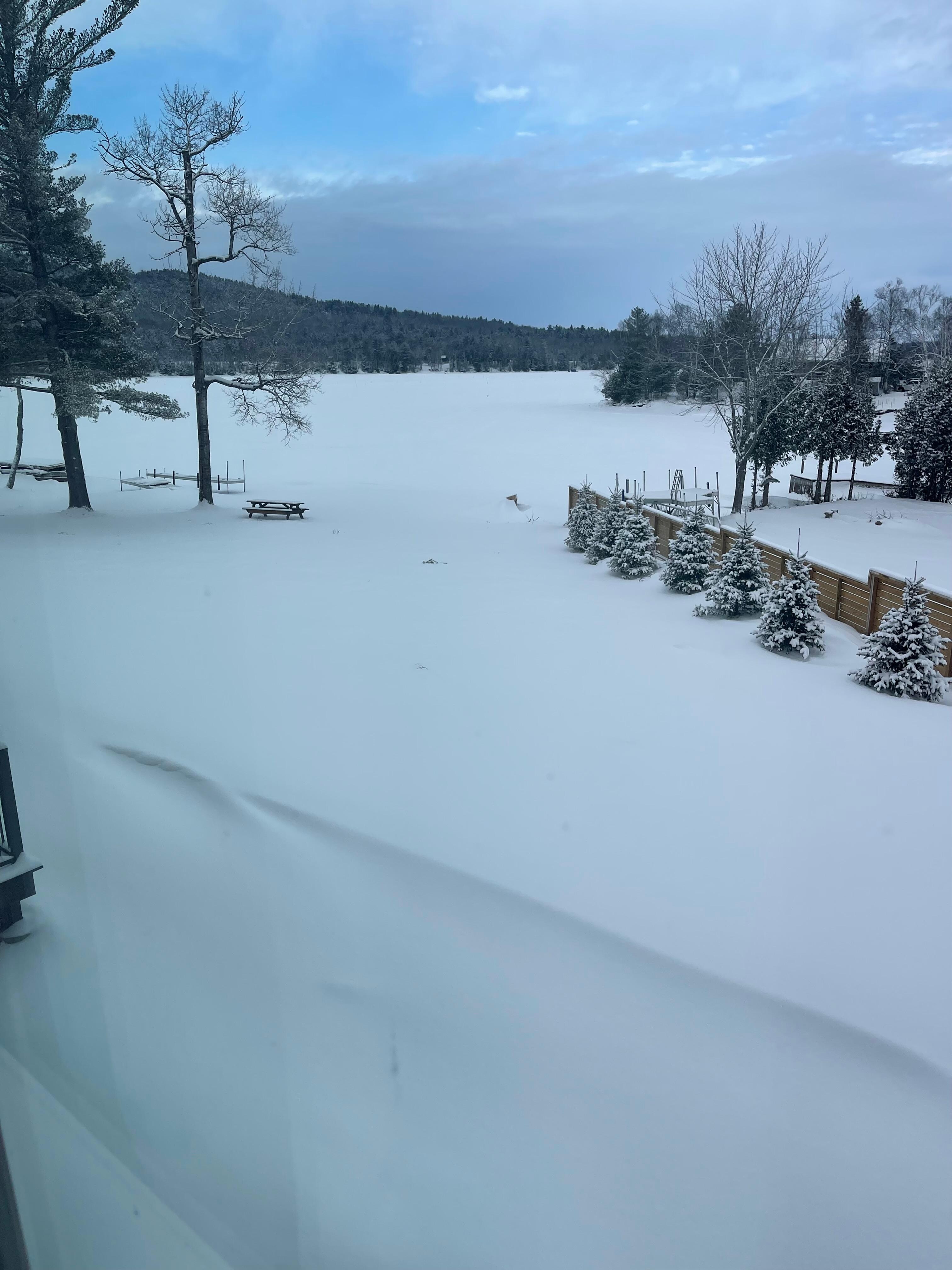 View from the window!