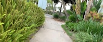 Beach access path…