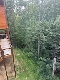 View from back porch
