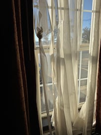 Torn curtains in RM 114