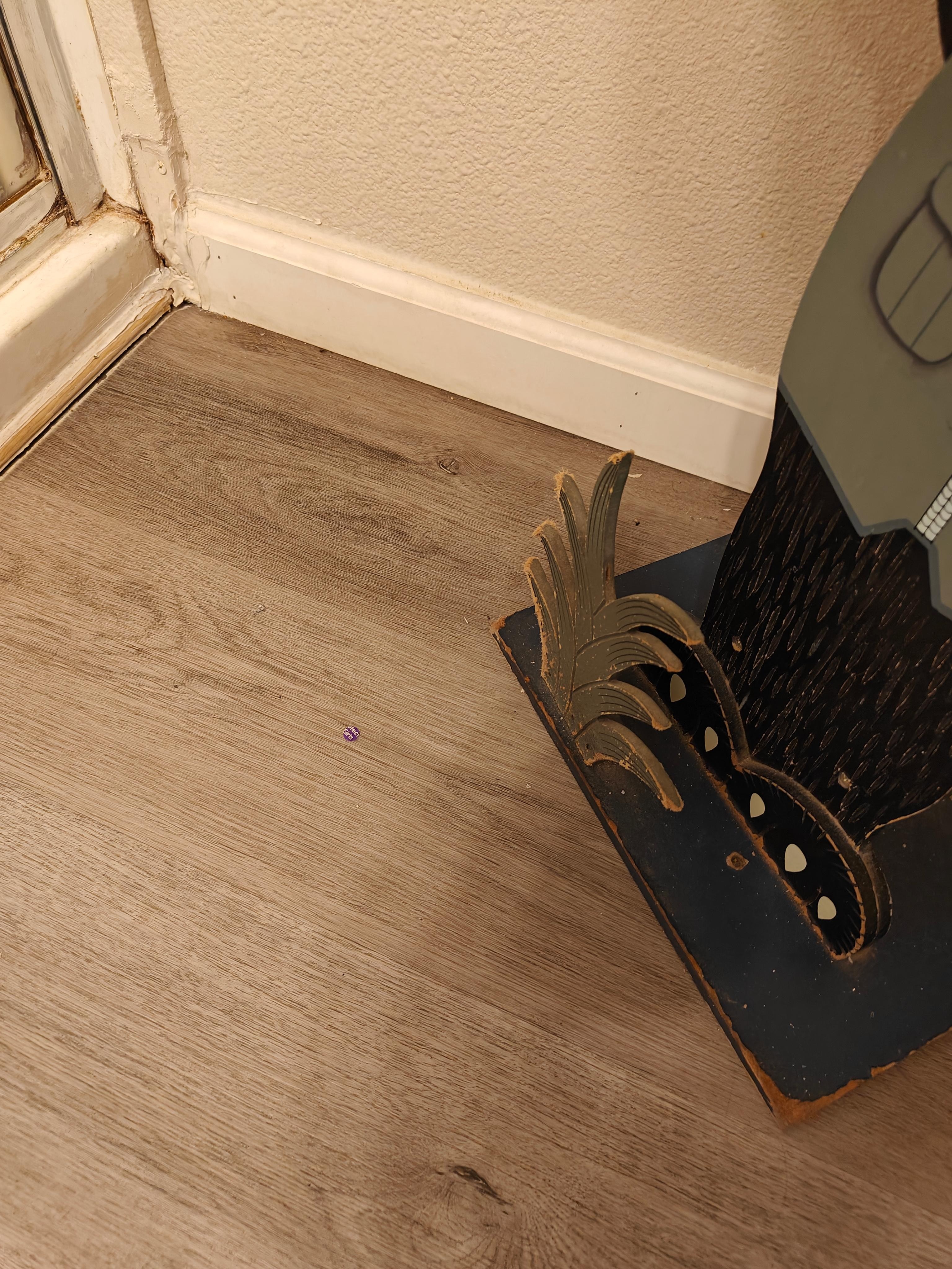 Floor dirty