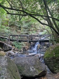Waterfall and bridge along woodland and river walk