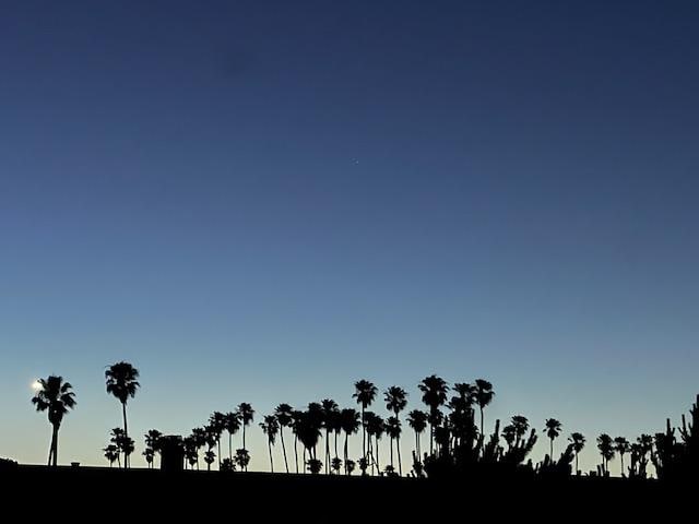 Picture from the back patio