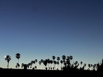 Picture from the back patio