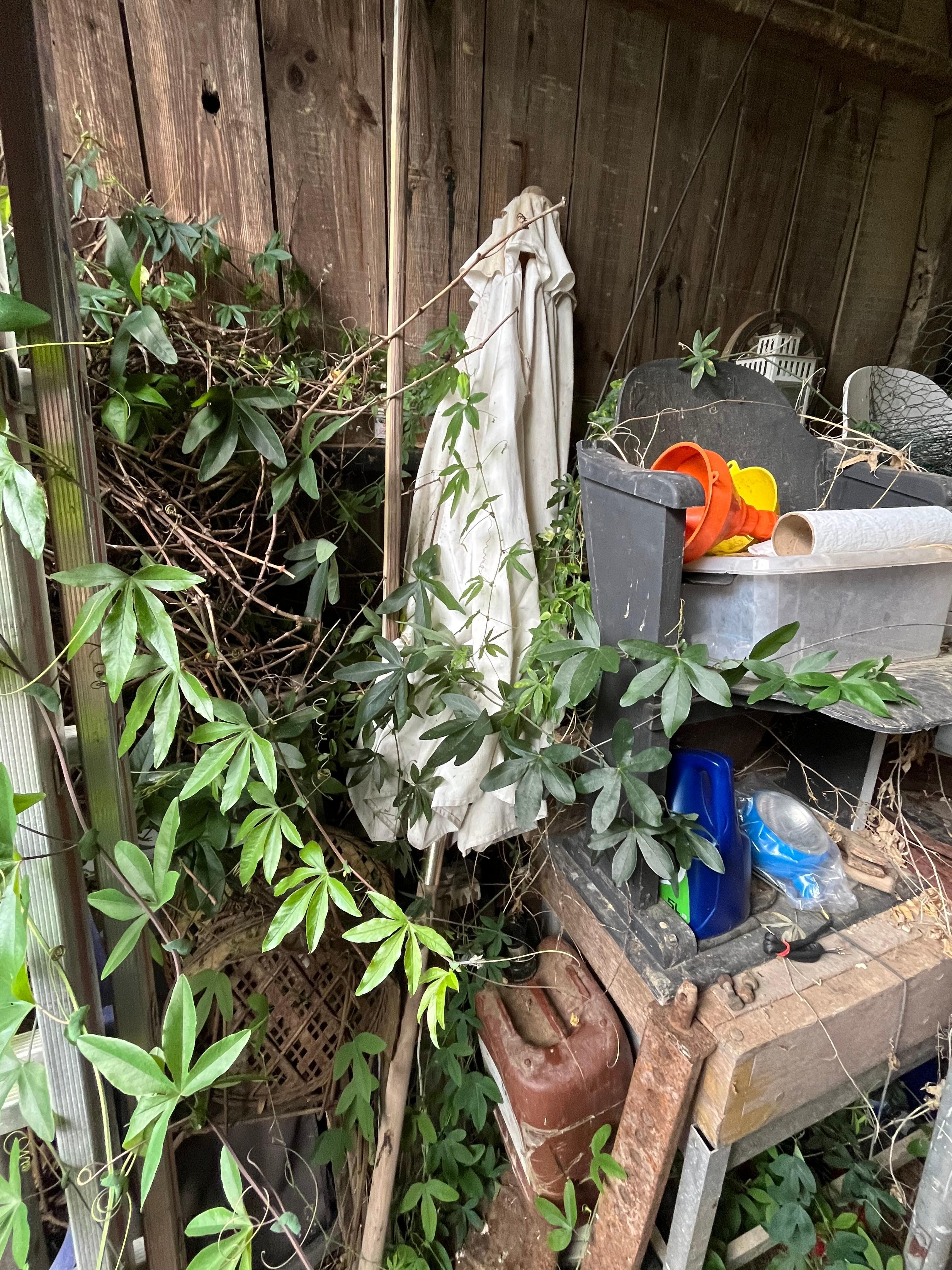 Spare parasol found in barn