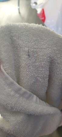 Hair found on what should of been clean bath towel. It was hidden under the fold.