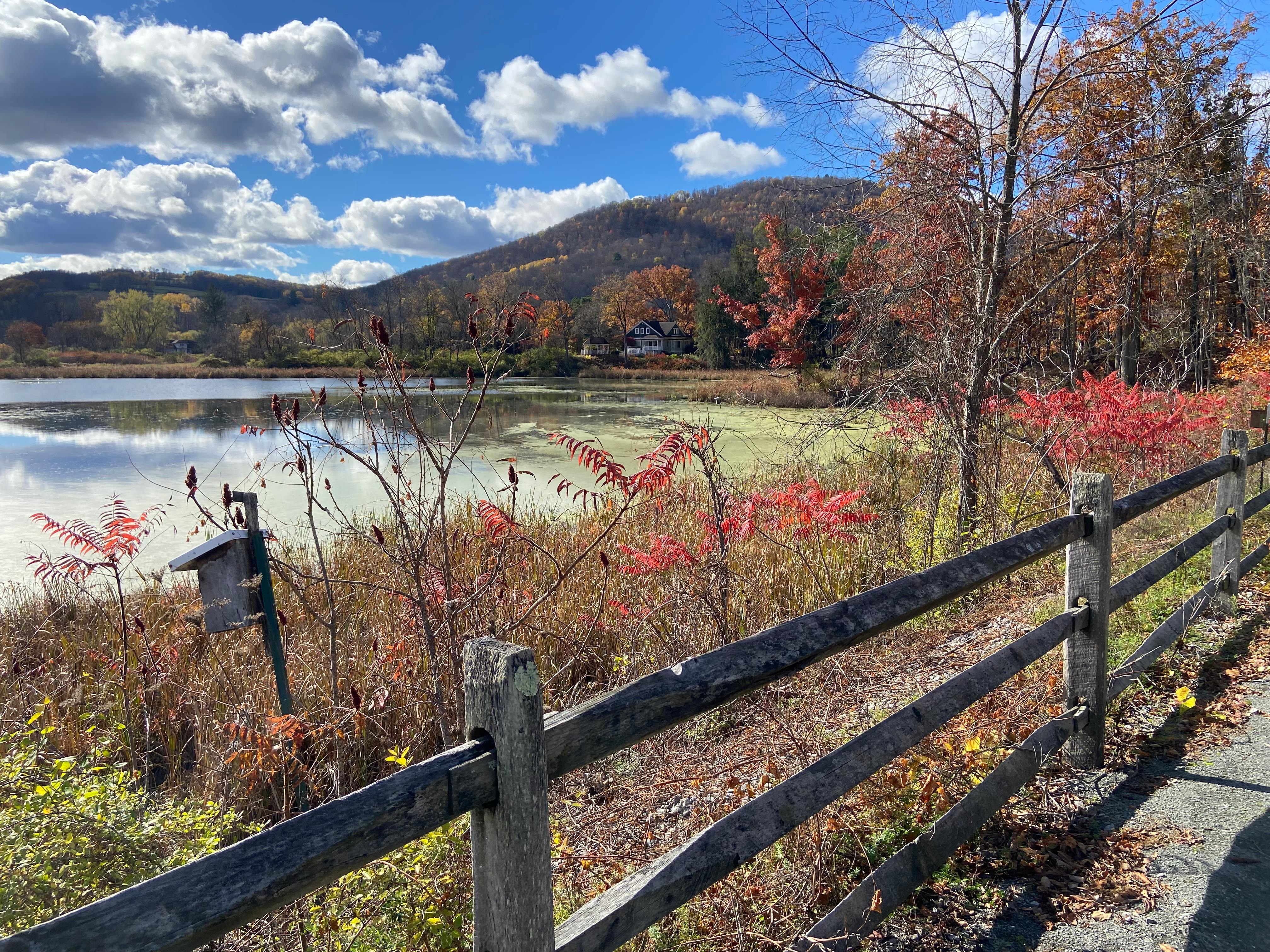 Just up the trail from the cottage