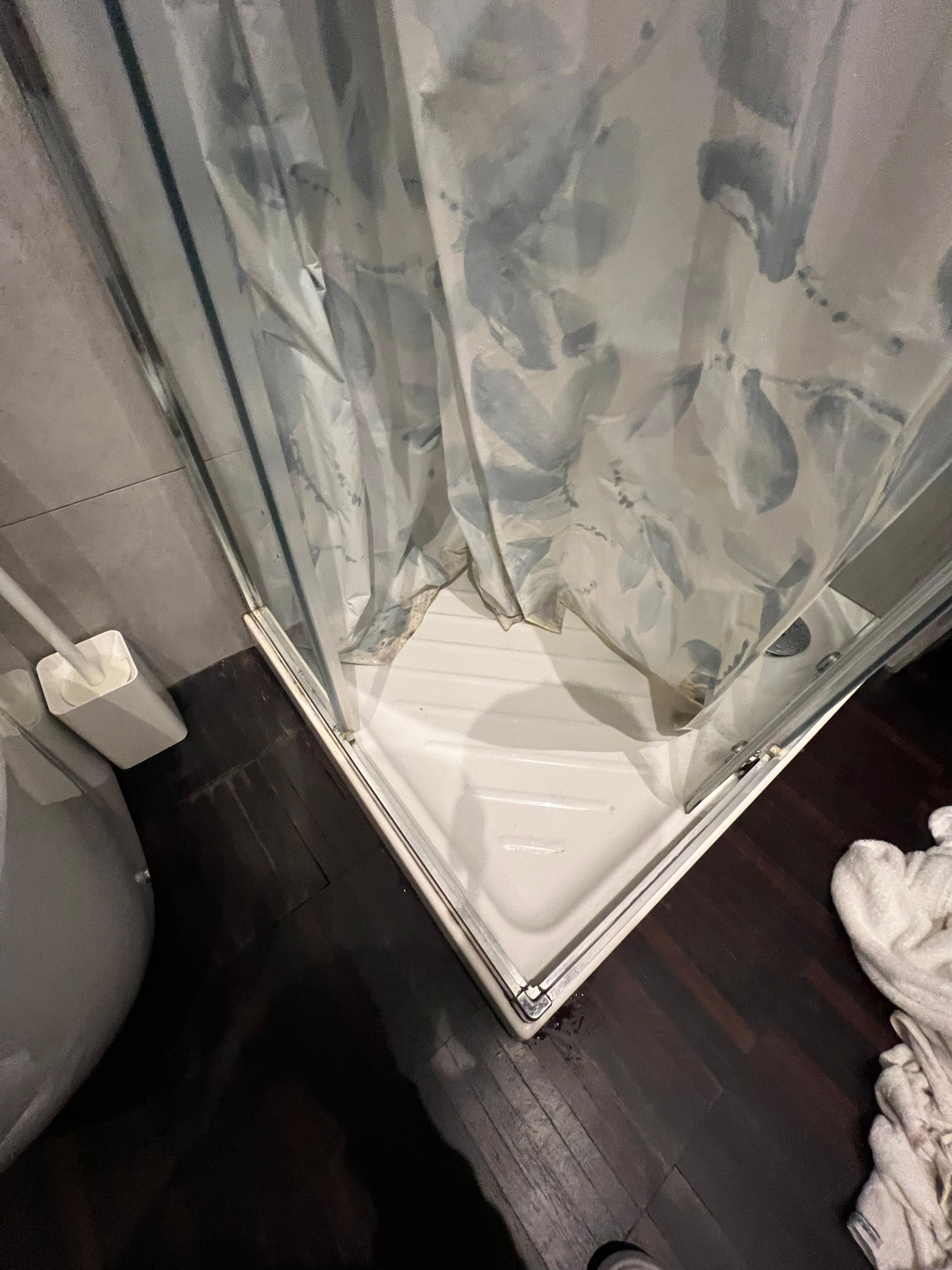 Mold throughout the shower.