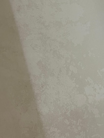Stained/dirty tub