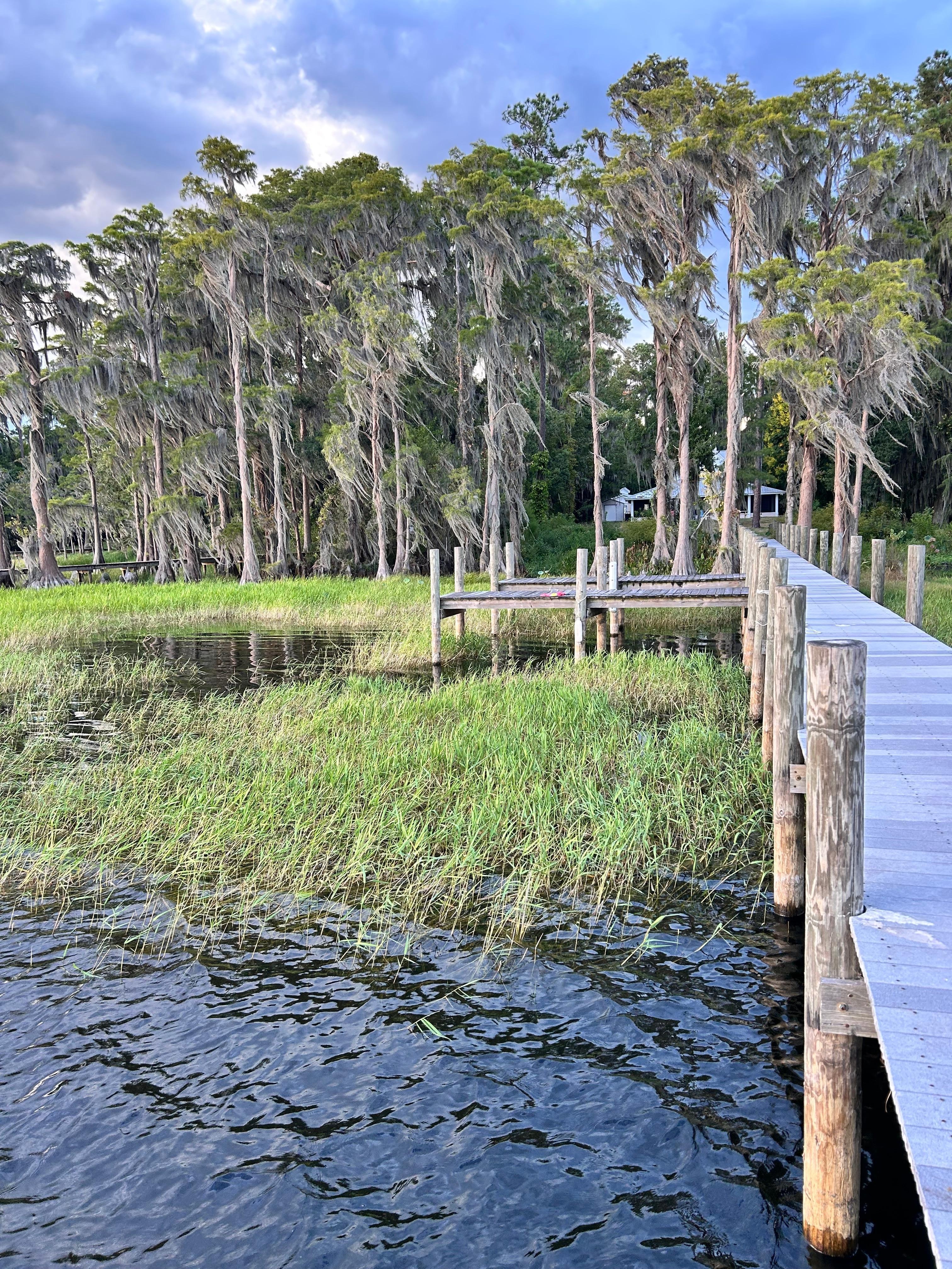 From dock, looking back toward house beyond the trees. 