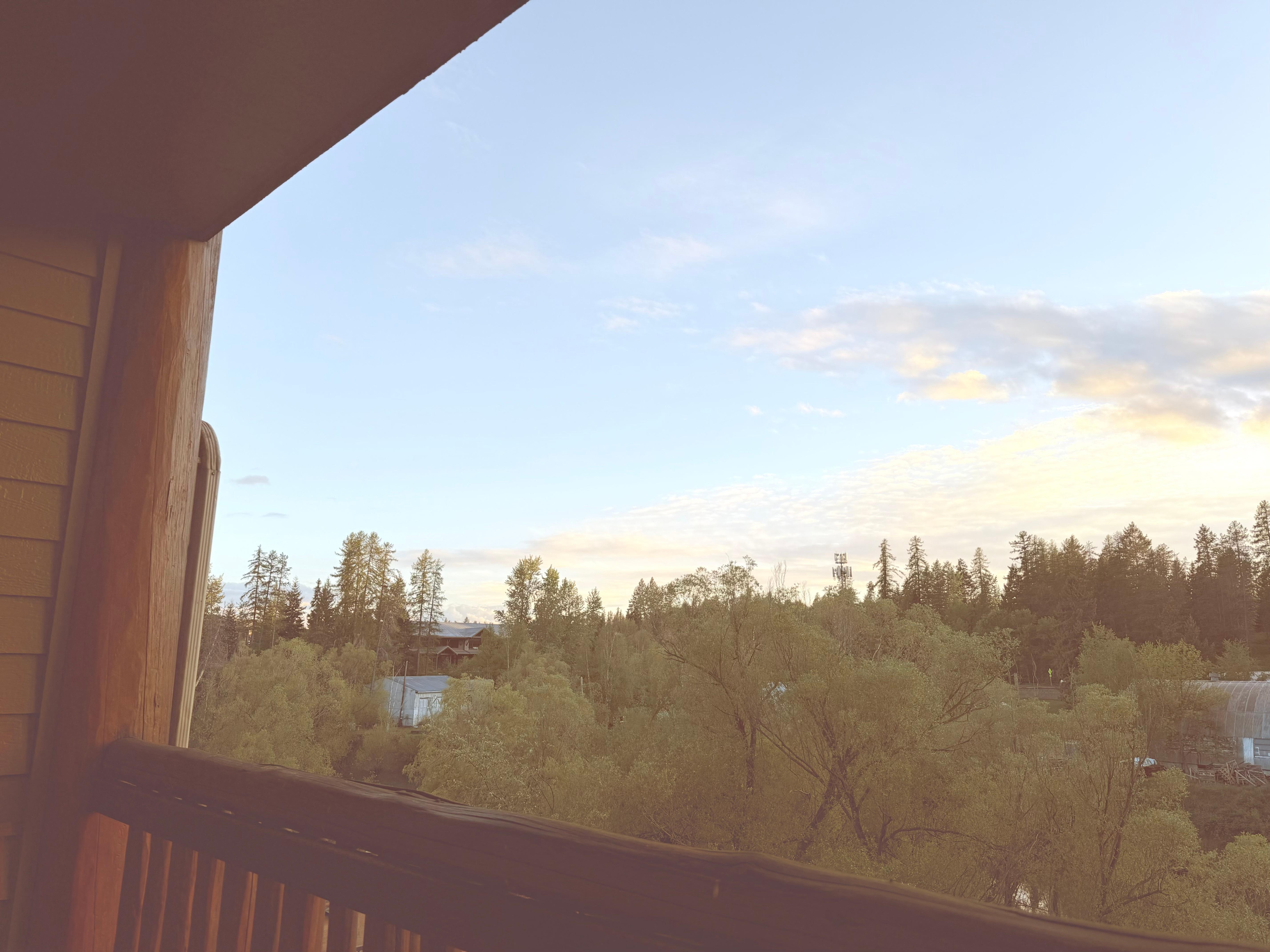 View from River View King room