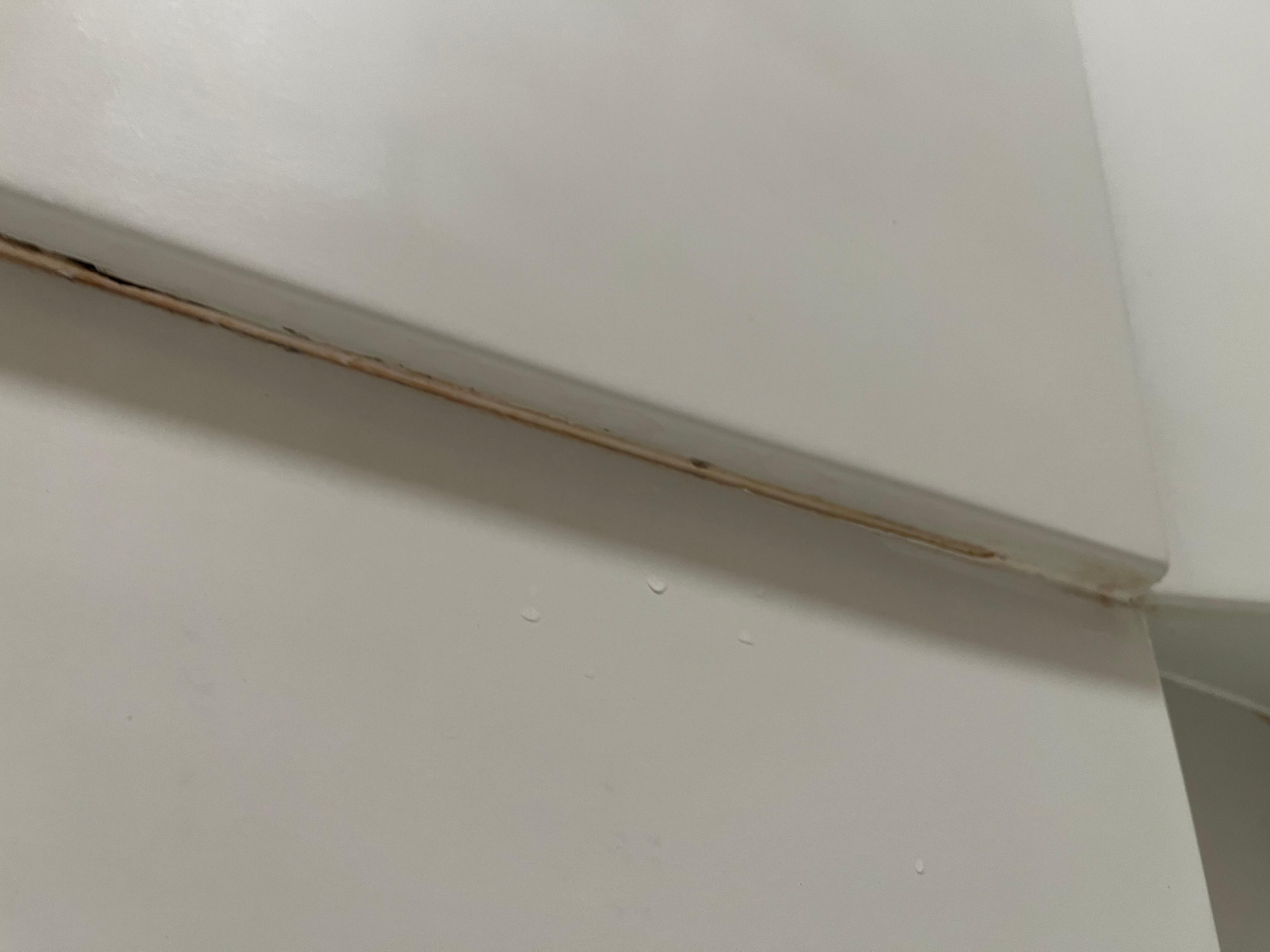 Mold Unser shower surround panel 