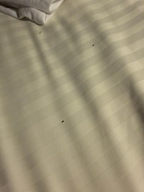 I dont even know what this is