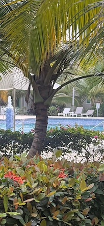 Pool by my apartment