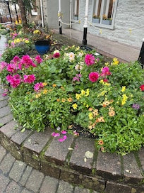 Flowerbed