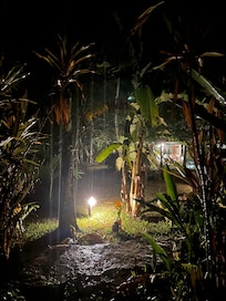 View from the room’s door
