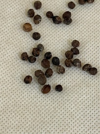 Mouse droppings
