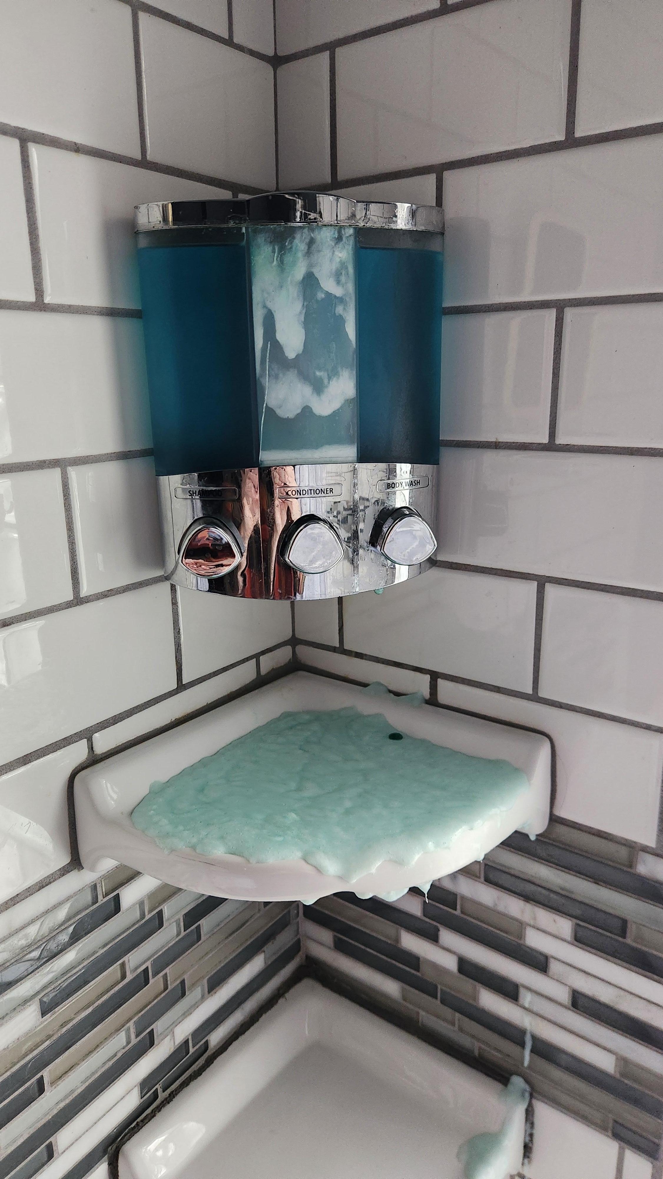 This was like this when we arrived. It had obviously been this way for a while. The conditioner leaked out of the dispenser. I didn't want to use the shower after seeing this.