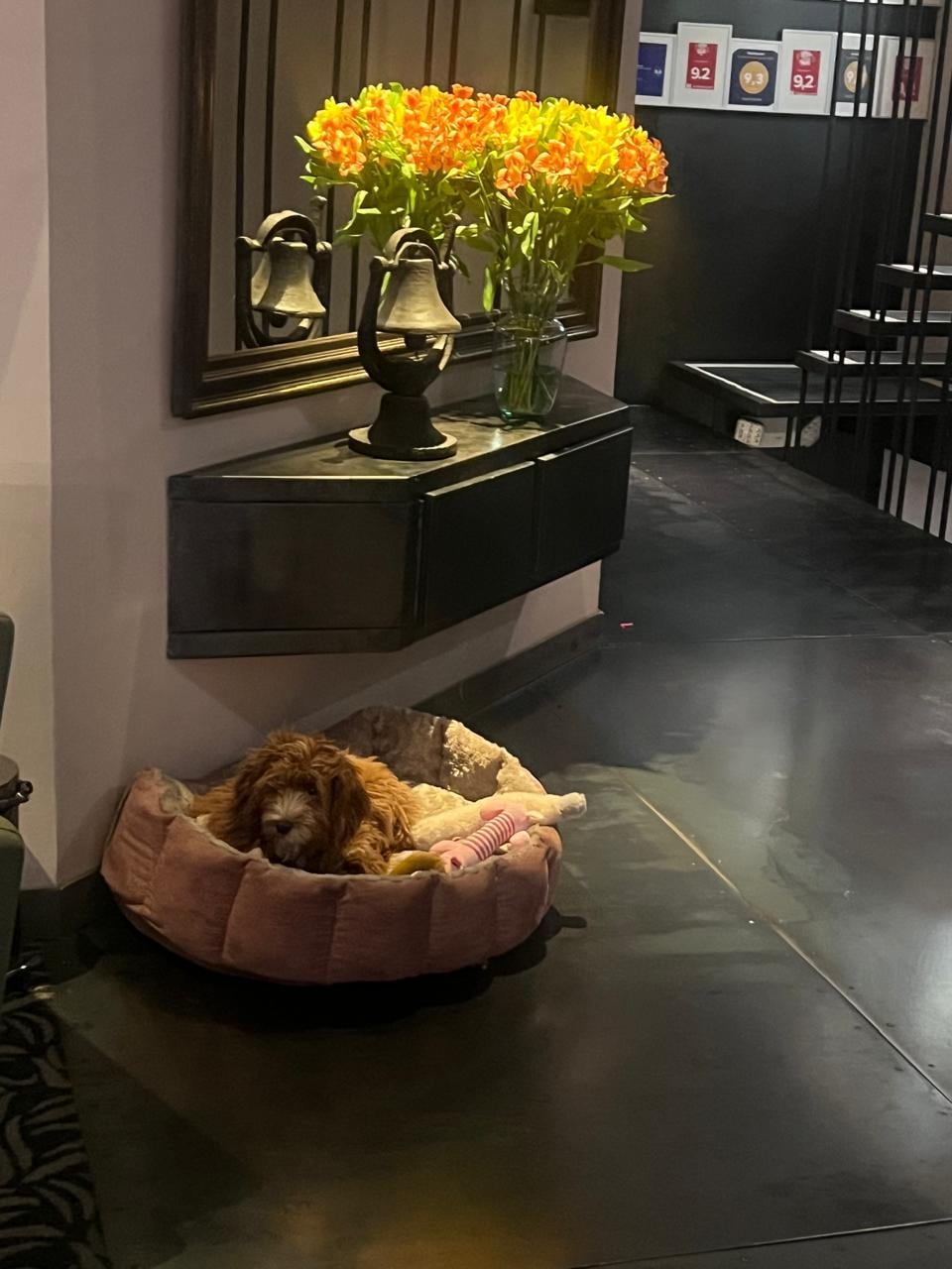 Una de las mejores recepciones que hemos tenido.