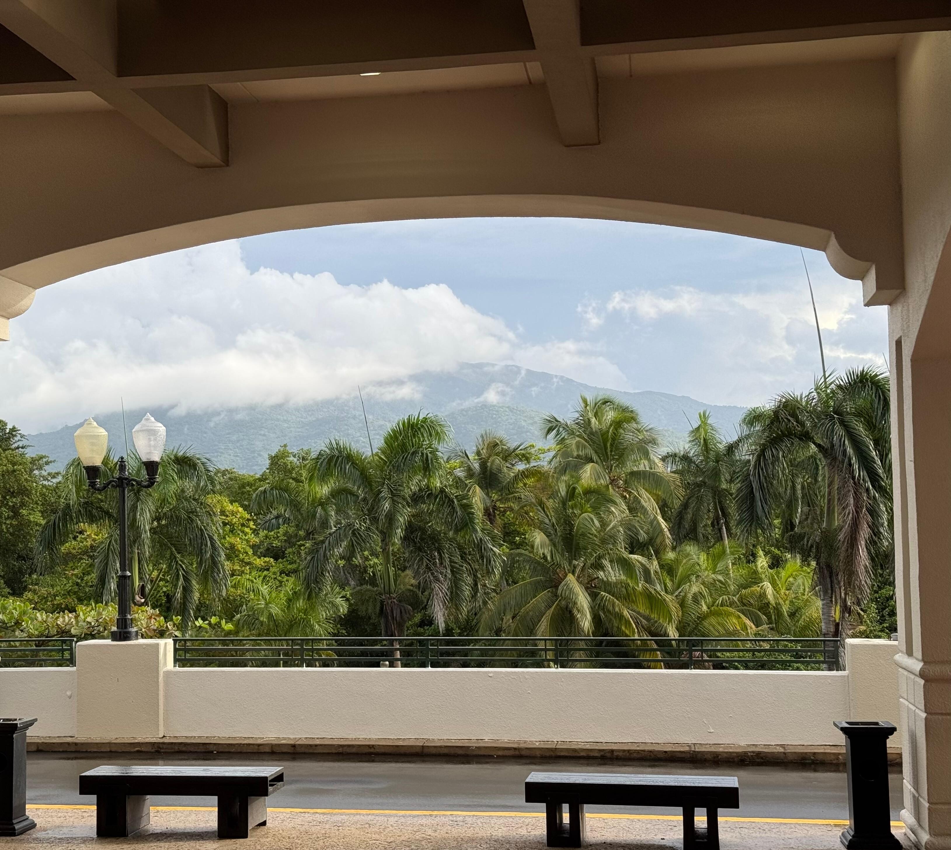 Gorgeous view of the rainforest. El Yunque is 10 minutes away, right cross the way from the resort. The hotel has an Enterprise car rental right on site. 