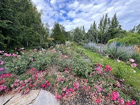 Day Trip to The Oregon Garden