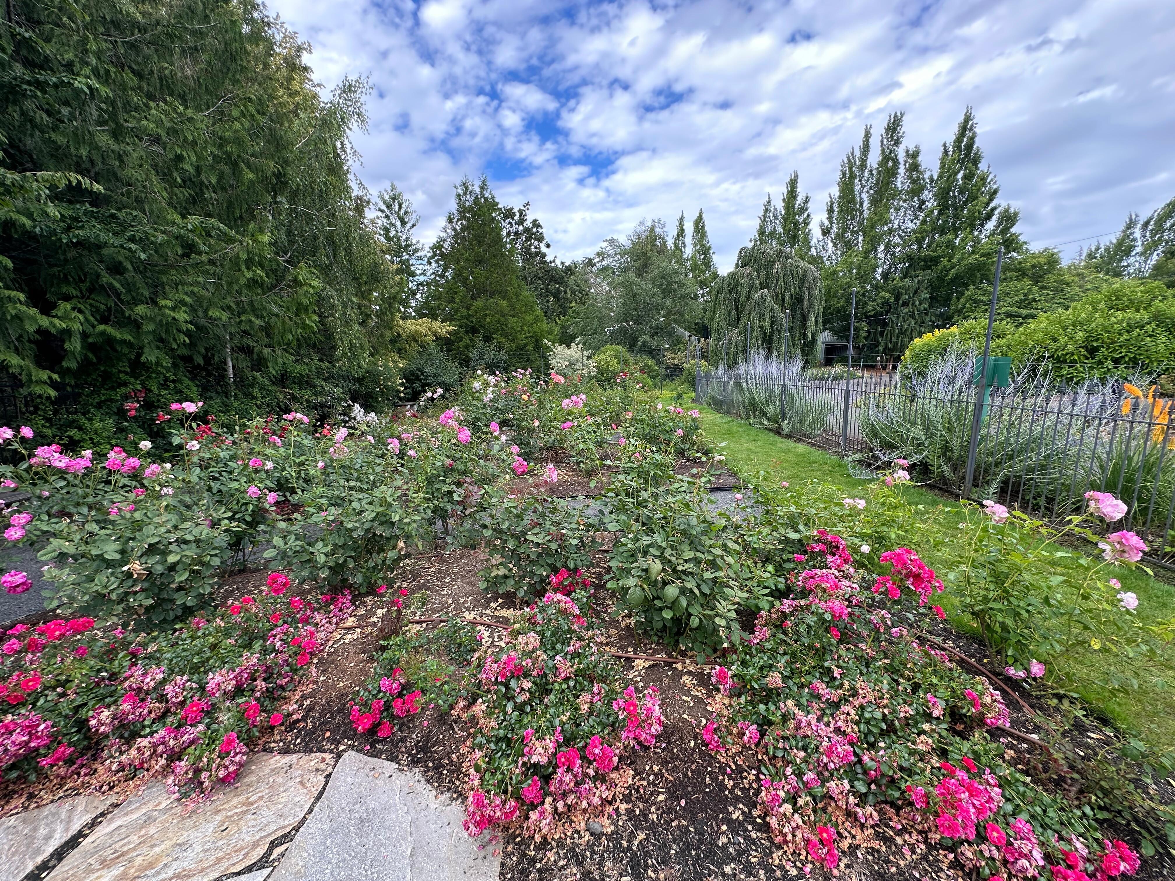 Day Trip to The Oregon Garden