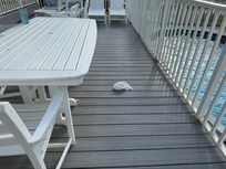 Dirty diaper on the deck