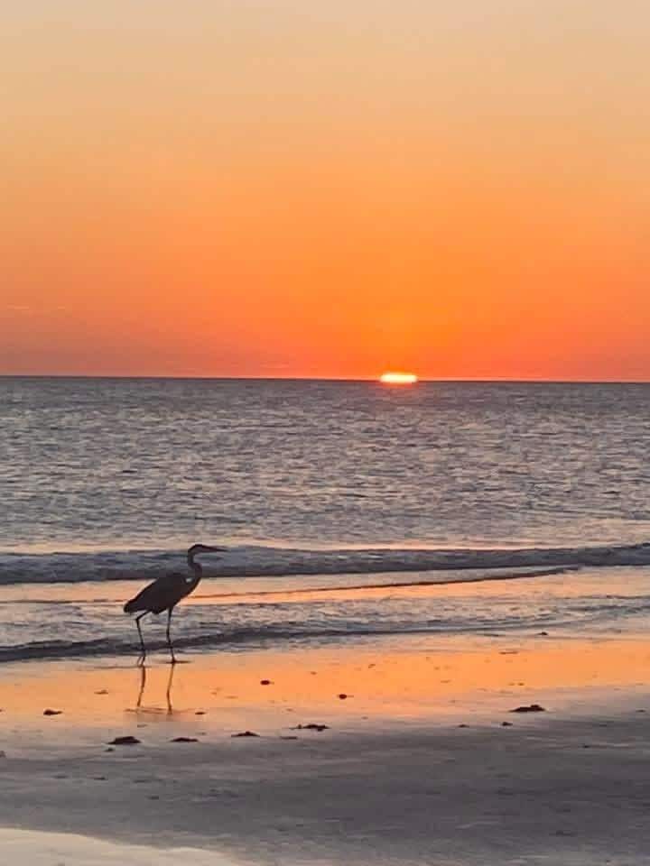 Sunsets are incredible on the Gulf Coadt!
