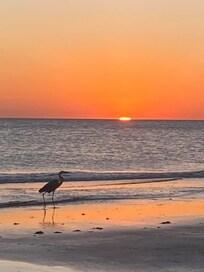 Sunsets are incredible on the Gulf Coadt!