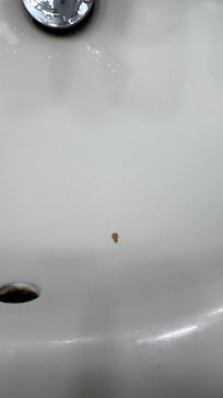Makeup stains