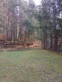 Huckleberry Hiking trail