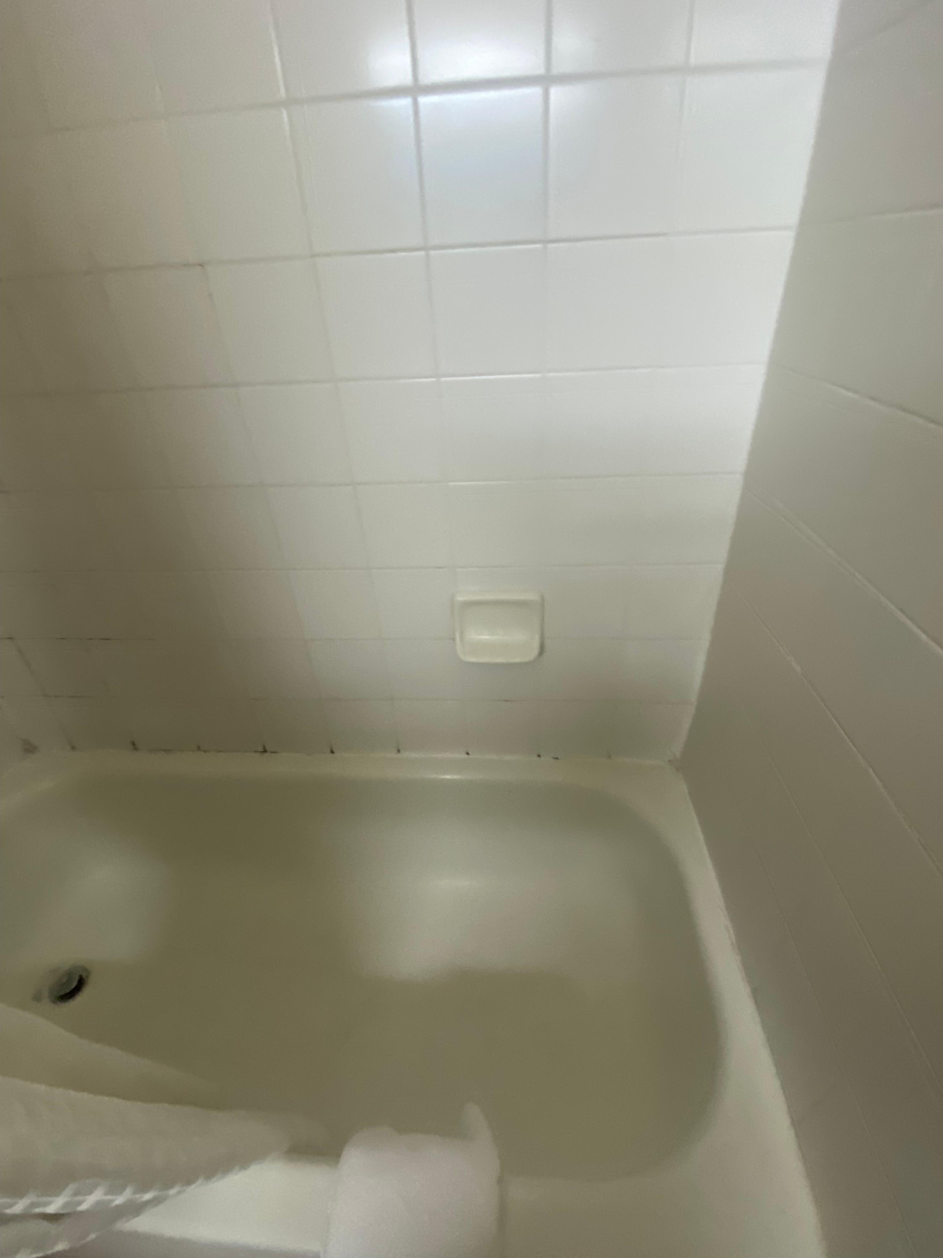 Bath tub that clearly needs a deep clean