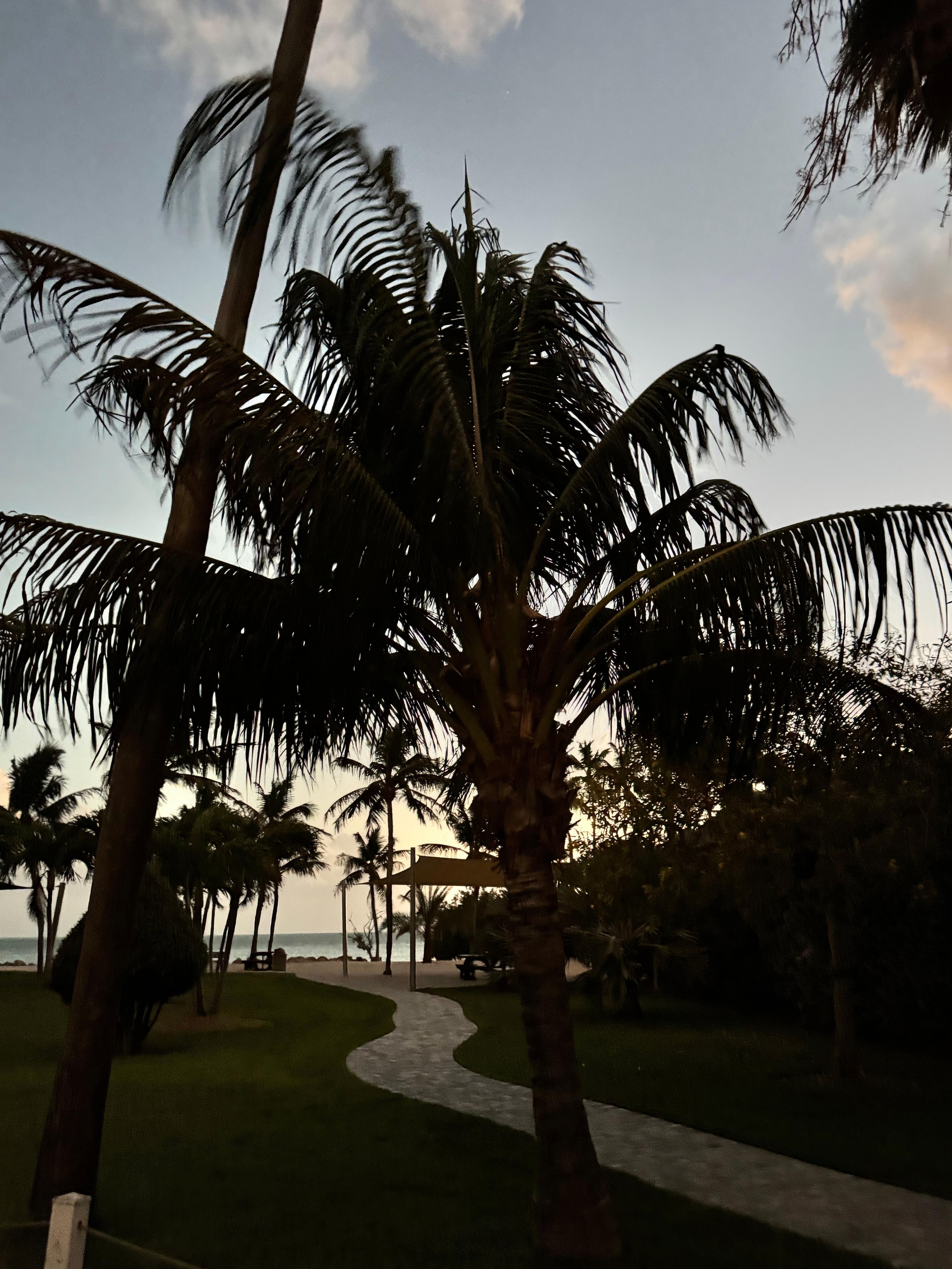 Local beach on property 