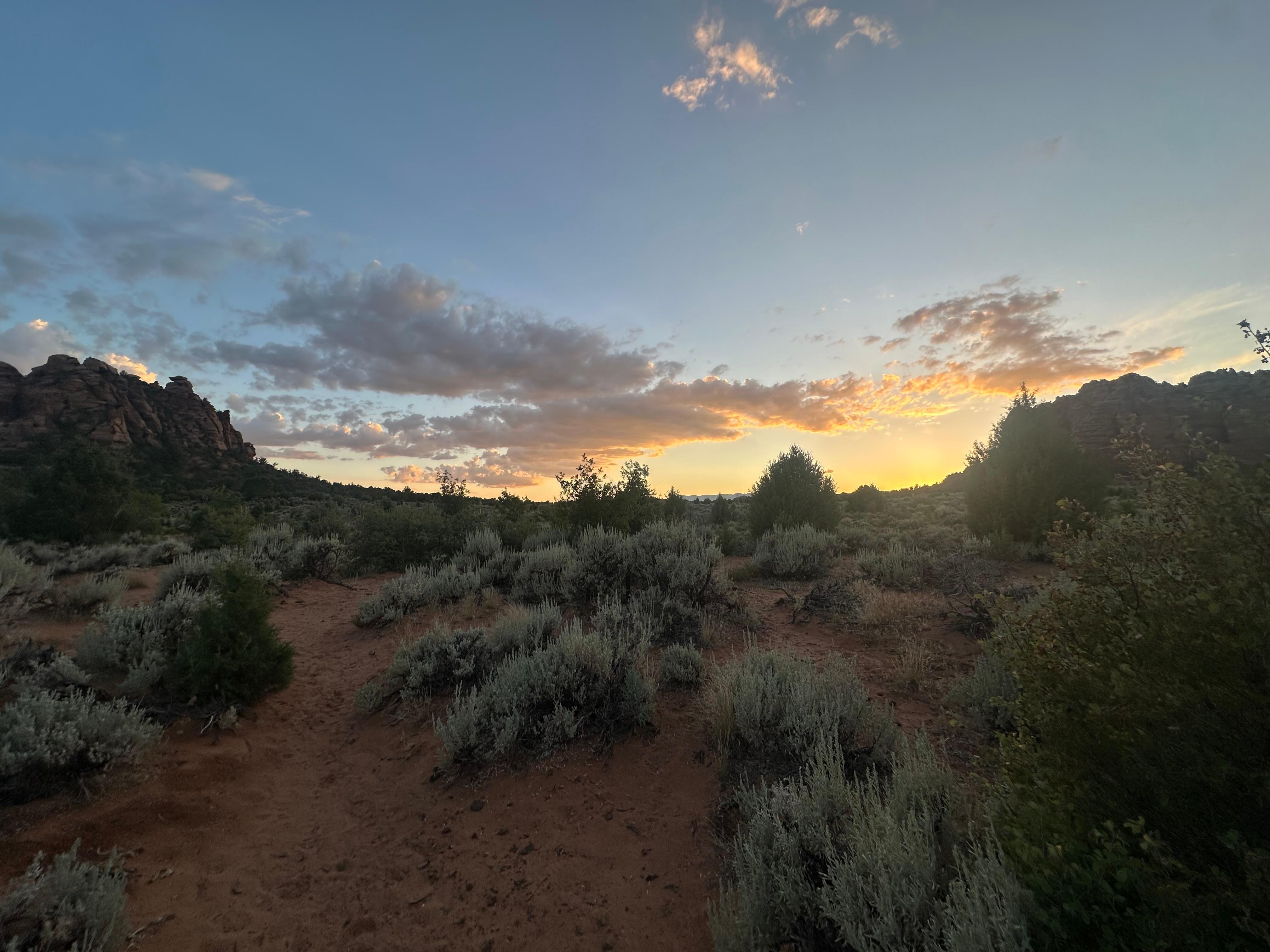 Trail near property 
