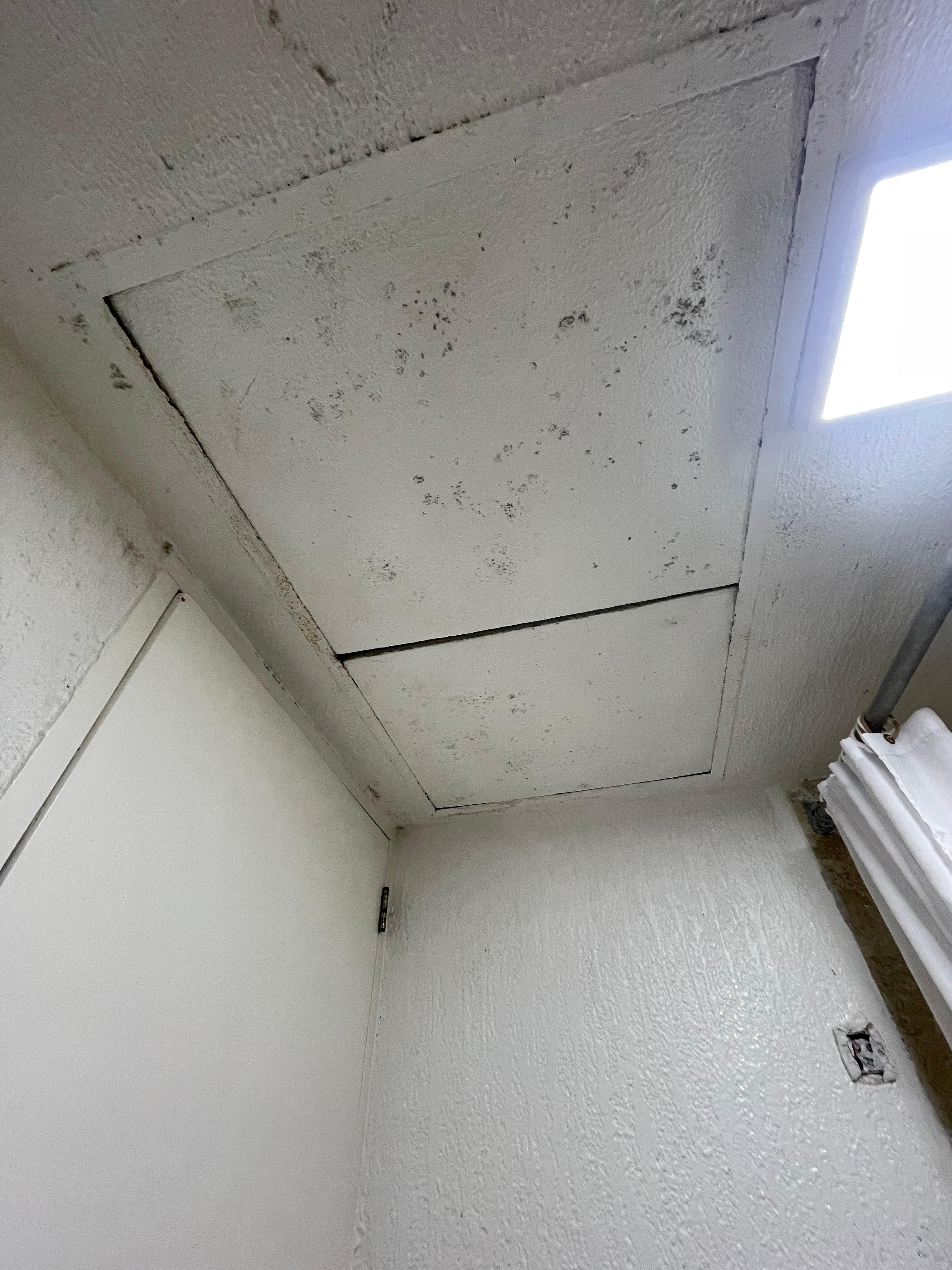 Mold on ceiling 